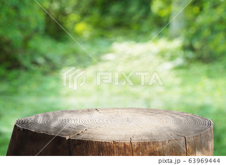 合成用背景　森と切り株 63969444