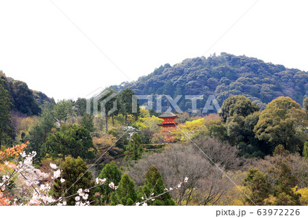 清水寺の境内にある三重塔と桜(京都) 清水寺の境内にある三重塔と桜(京都) 63972226