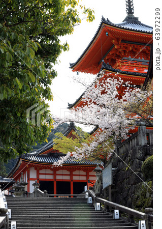 さくら咲く。撮影場所：清水寺（京都） 63972299