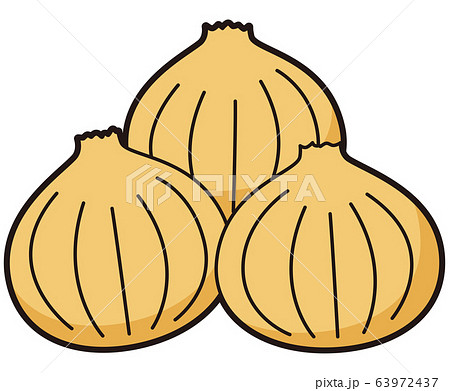 たまねぎ 複数 たまねぎ 複数 63972437