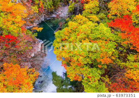 付知峡(秋) 付知峡(秋) 63973351