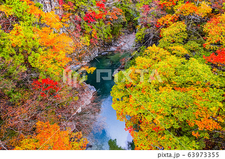 付知峡(秋) 付知峡(秋) 63973355