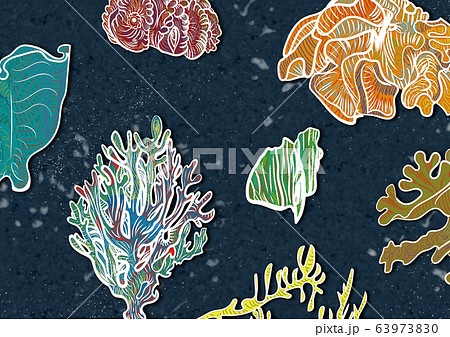サンゴ 珊瑚 珊瑚礁のイラスト素材