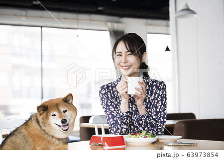 ドックカフェ 女性 犬 カメラ目線の写真素材