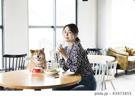 ドックカフェ 女性 犬 カメラ目線の写真素材