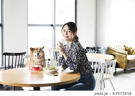 ドックカフェ 女性 犬 カメラ目線の写真素材