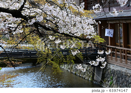 春のイメージ　京都祇園白川の桜　落ち着きのある風景 63974147