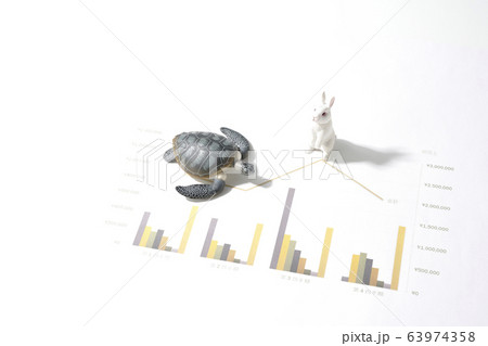 うさぎと亀 63974358