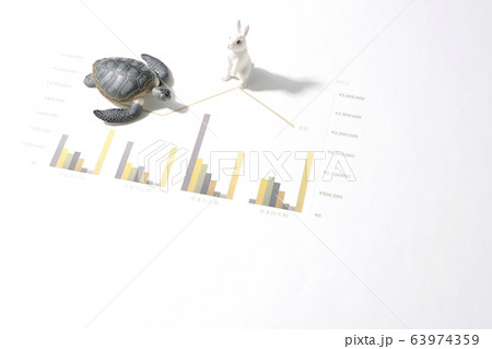 うさぎと亀 63974359