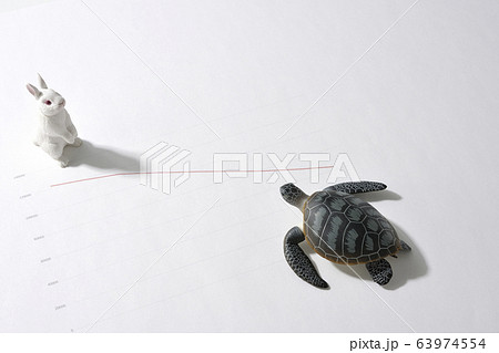 うさぎと亀 うさぎと亀 63974554
