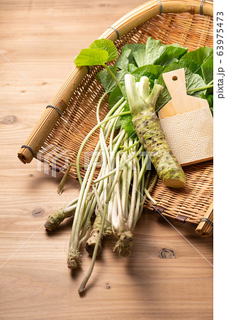 本山葵と山葵の葉 63975473