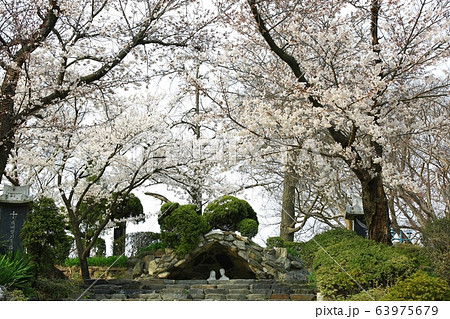 ゴンセリ大聖堂 森 スポット 63975679