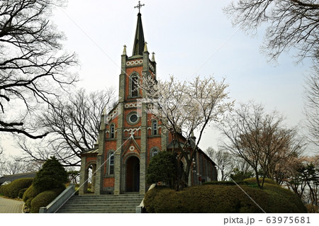 ゴンセリ大聖堂 森 スポット 63975681