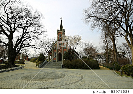 ゴンセリ大聖堂 森 スポット 63975683