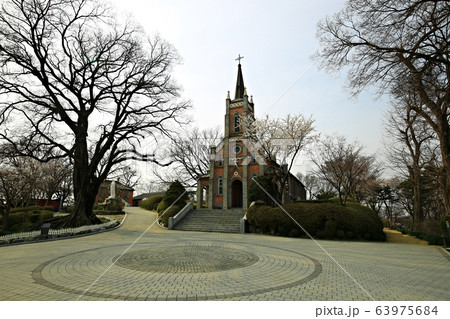 ゴンセリ大聖堂 森 スポット 63975684