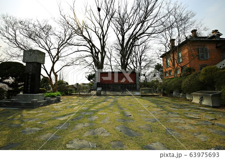 ゴンセリ大聖堂 森 スポット 63975693