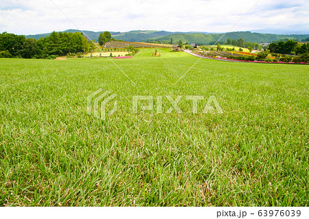 ぜるぶの丘の芝生 63976039