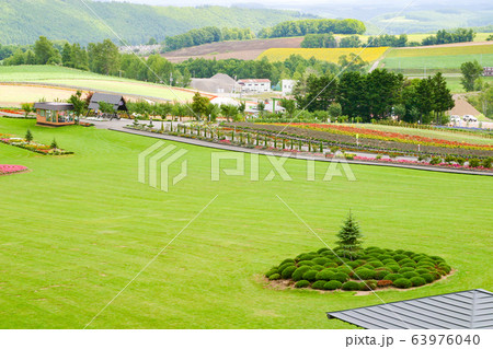 ぜるぶの丘の広場 63976040