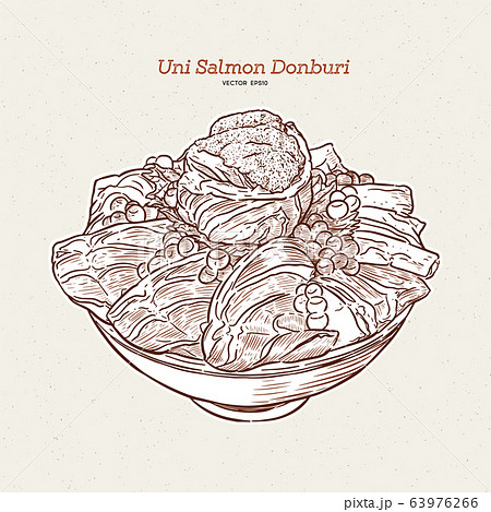 Uni salmon Donbuti, hand draw sketch japanese 63976266