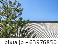 東福寺 禅堂の屋根と松 63976850