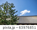 東福寺 禅堂の屋根と松 63976851