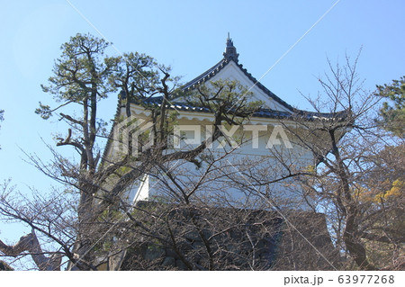 小田原城 63977268