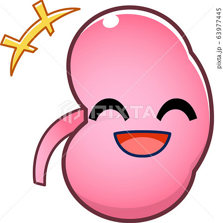 腎臓のキャラクター 腎臓のキャラクター 63977445