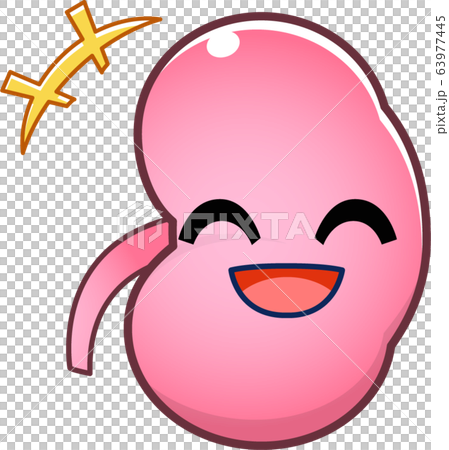 Kidney character Kidney character 63977445