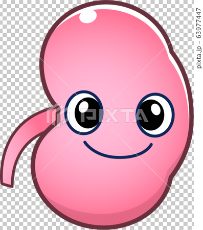 Kidney character Kidney character 63977447