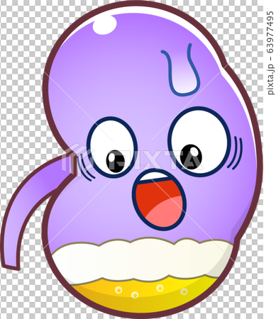 Kidney character 63977495