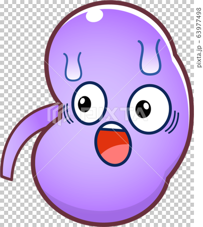 Kidney character 63977498