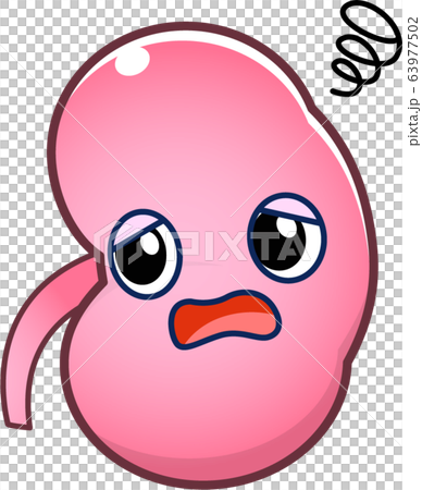 Kidney character 63977502