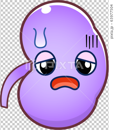 Kidney character 63977504