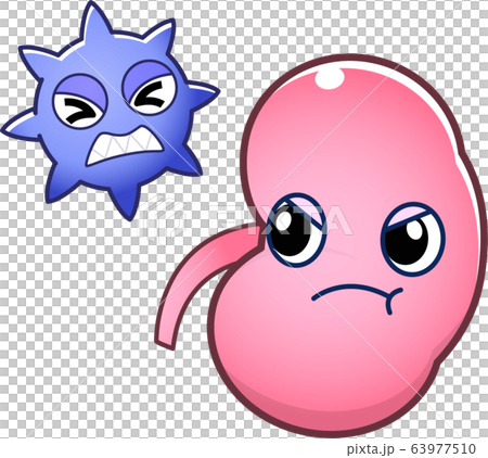 Kidney character Kidney character 63977510