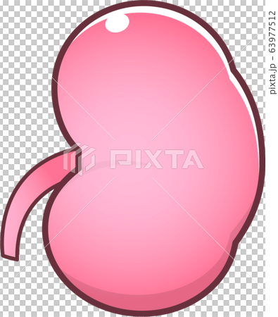 Kidney character Kidney character 63977512