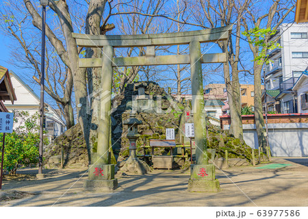 浦安三社清瀧神社 浦安三社清瀧神社 63977586