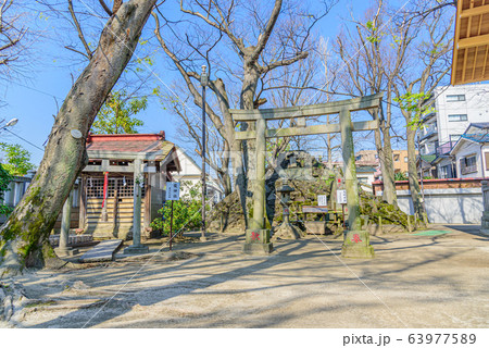 浦安三社清瀧神社 63977589