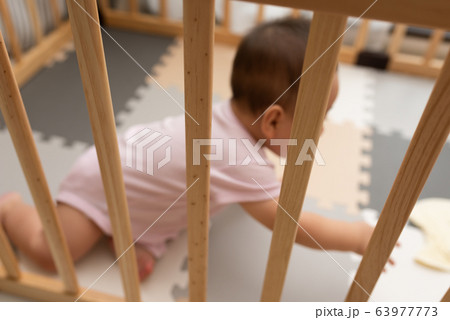 image photo 63977773
