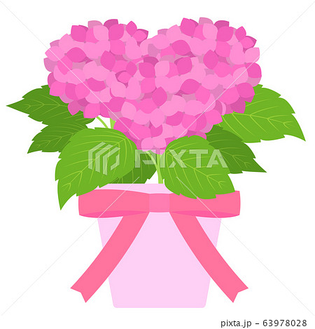 紫陽花の鉢植え プレゼントのイラスト素材