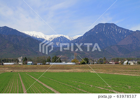 安曇野の春 63978537