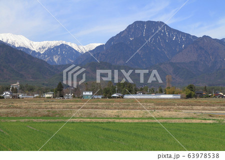 安曇野の春 63978538