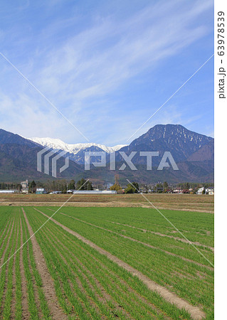 安曇野の春 63978539