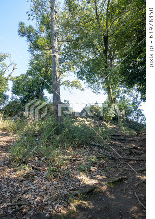 ポンポン山公園 ポンポン山山頂付近 埼玉県吉見町   ポンポン山公園 ポンポン山山頂付近 埼玉県吉見町   63978850