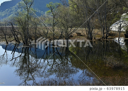 芽吹きの頃の尾瀬ヶ原に山と木々映る雪解け増水の川 63978915