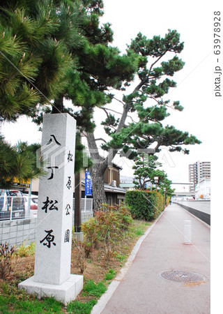 八丁松原(松原公園)の石柱と現在の北側の松並木(大阪府高槻市) 63978928