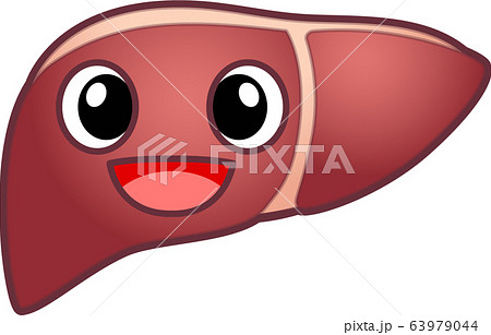 肝臓のキャラクター 肝臓のキャラクター 63979044