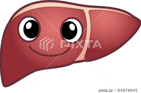肝臓のキャラクター 63979045