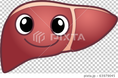 肝臓のキャラクター 63979045