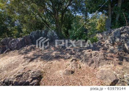 ポンポン山公園　ポンポン山山頂付近　埼玉県吉見町　　 63979144