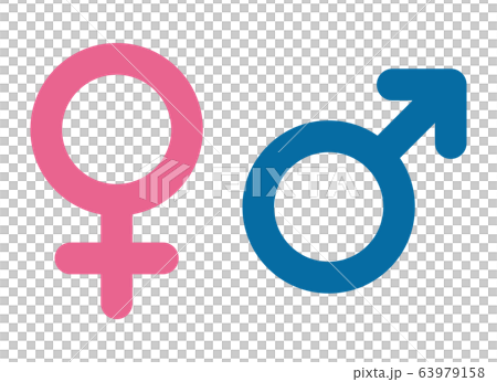 性別記号のアイコンセット（雄と雌） 63979158